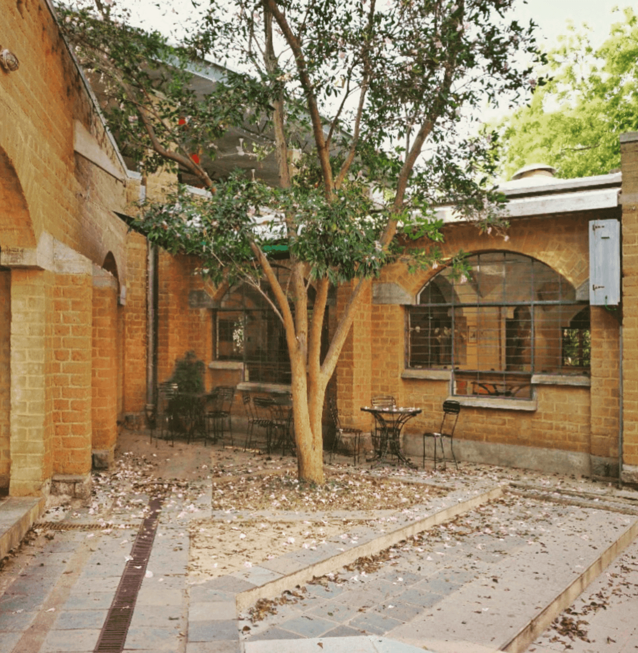 auroville visitors centre
